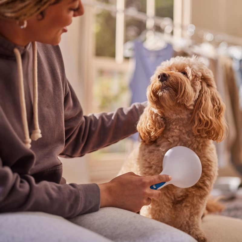 Group Luxe™ Soft-Grip Comfort Slicker