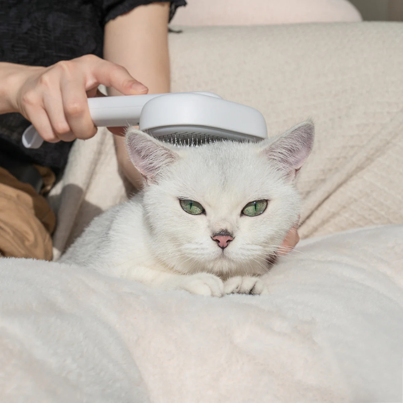 Group Luxe™ Ergonomic Retractable Brush